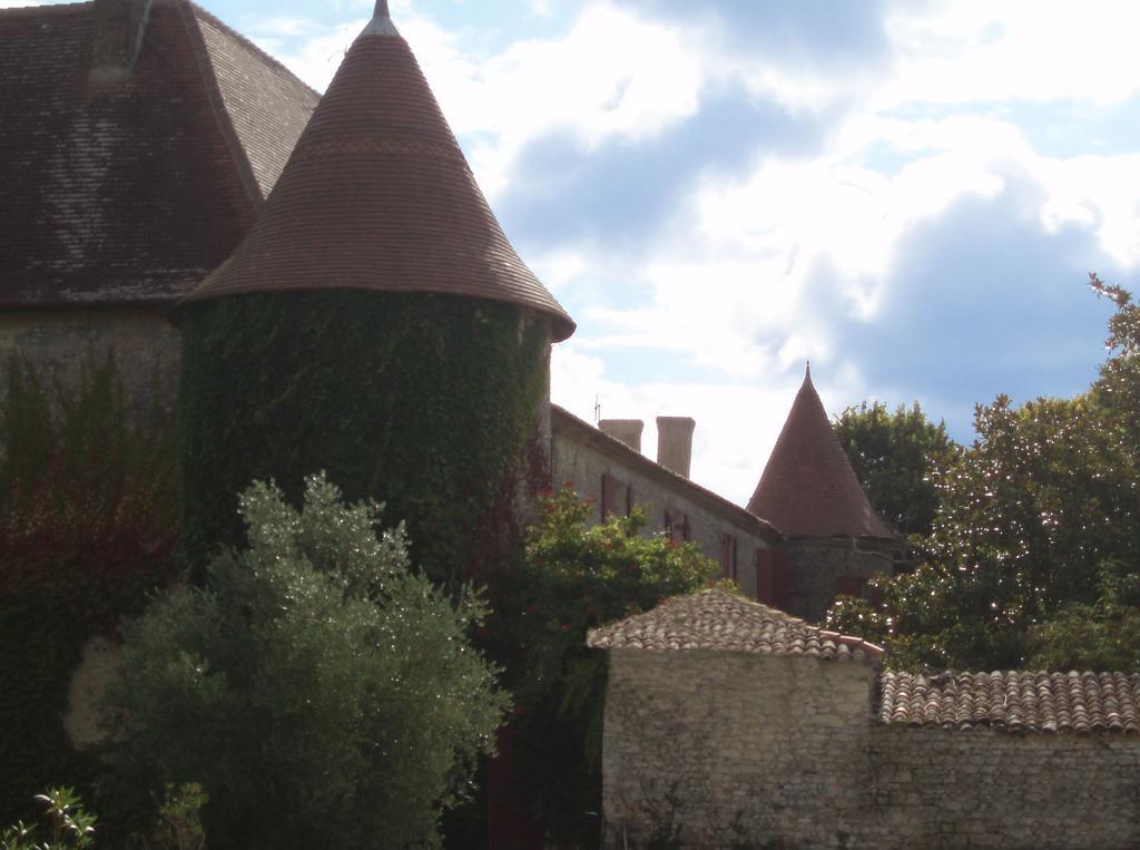 Chateau De Theon Hotel Cozes Luaran gambar